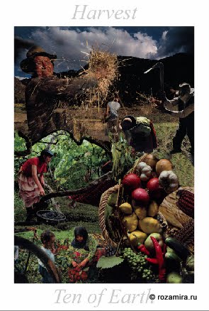 Nature Tarot by Jan Strube